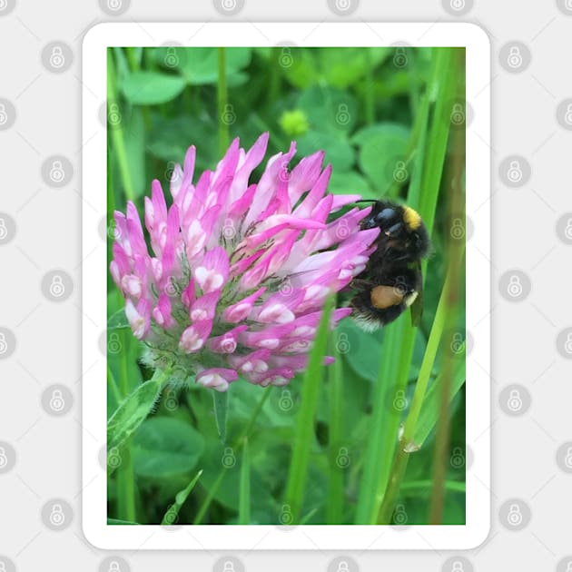 Busy Bumble Bee on a Four Leaf Lucky Clover Sticker by Bucklandcrafts